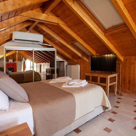 Bourtzi View Villa Nauplie