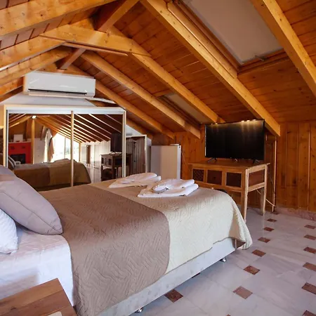 Villa Bourtzi View *